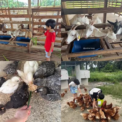 Gentle Farms Sdn Bhd